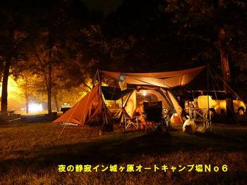 今頃ですが～