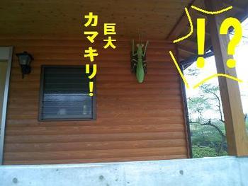 キャンプ場視察（直川憩の森キャンプ場編）