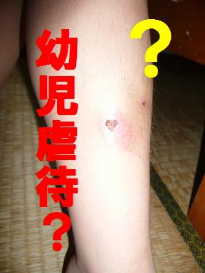 キャンプ場視察（直川憩の森キャンプ場編）