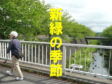 エコ散歩推奨！