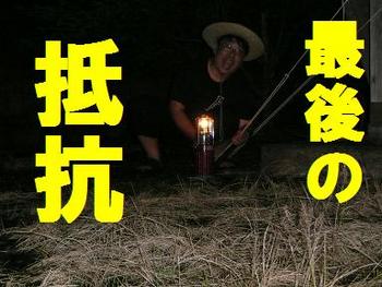 梅雨キャン・・・④