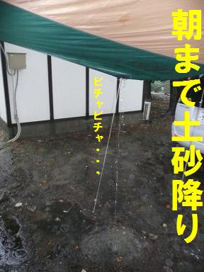 祝！金メダル（本文と関係ありません）