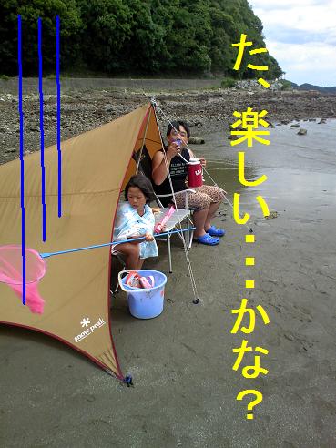 今更ですが・・・今年前半総括