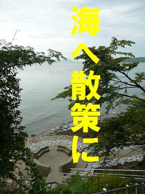 祝！金メダル（本文と関係ありません）