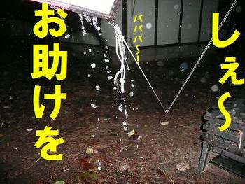 祝！金メダル（本文と関係ありません）