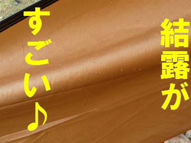 新幕テストジョイ！⑤志高湖の謎編