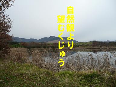 隠れ家のキャンプ場（くじゅう山麓風の丘）