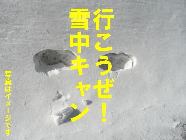 行こうぜ!雪中キャンのお知らせ