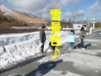 行くぜ!雪中キャン！？