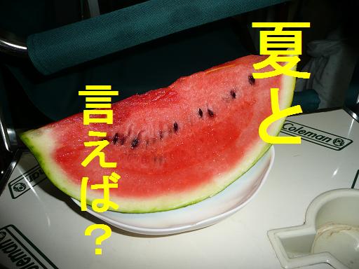 夏の定番？
