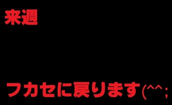 11月21日の釣果（尼崎港他）