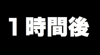 11月21日の釣果（尼崎港他）