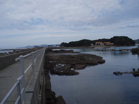 10月13日の釣果（和歌山・田辺）その1