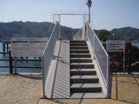 5月9日の釣果（由良海つり公園）