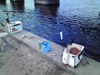 リアルタイム釣り場情報