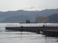 9月13日の釣果（由良海釣り公園）