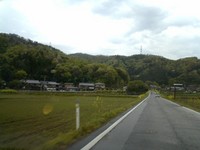 雨上がりの 2006/05/02 07:29:50