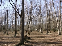 やってみます。 2010/02/01 22:19:05
