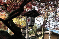 大雄山最乗寺