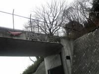 初・王禅寺 2009/02/05 23:06:39