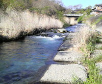 今日も良い天気ですねぇ 2009/04/27 07:41:25