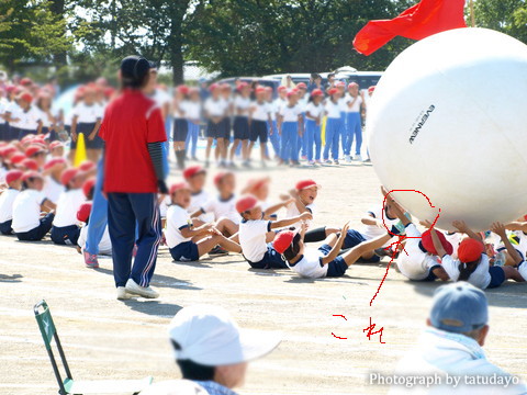 運動会