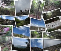 蓼科山