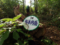 南本内岳－登山