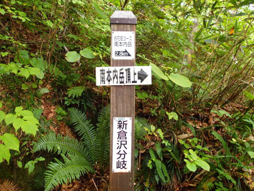 南本内岳－登山