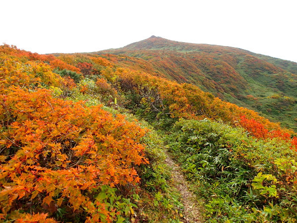 南本内岳－登山