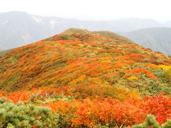 南本内岳－登山