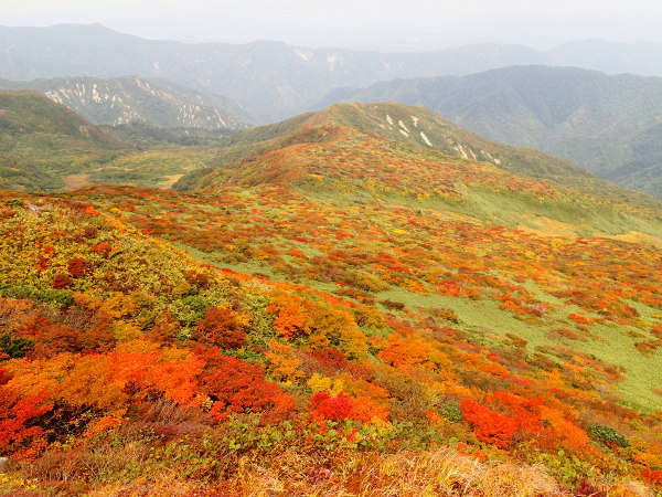 南本内岳－登山