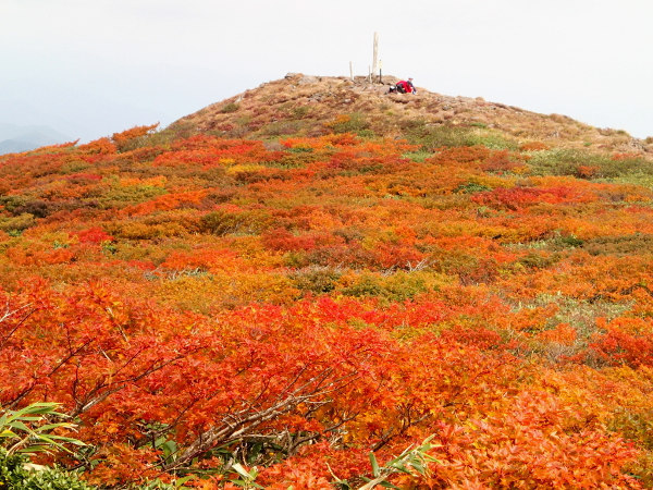 南本内岳－登山