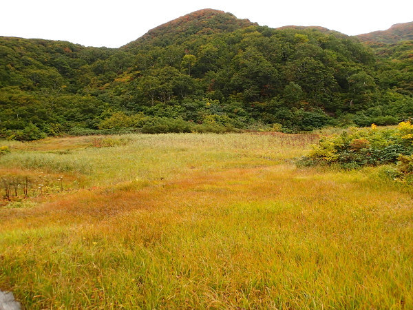 南本内岳－登山