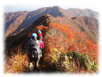 障子ヶ岳・天狗小屋泊－登山②
