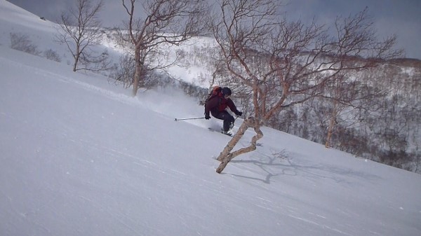 秋田駒ケ岳－山スキー（県境越え）