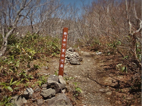 金ケ崎駒ケ岳－登山（今期2回目）