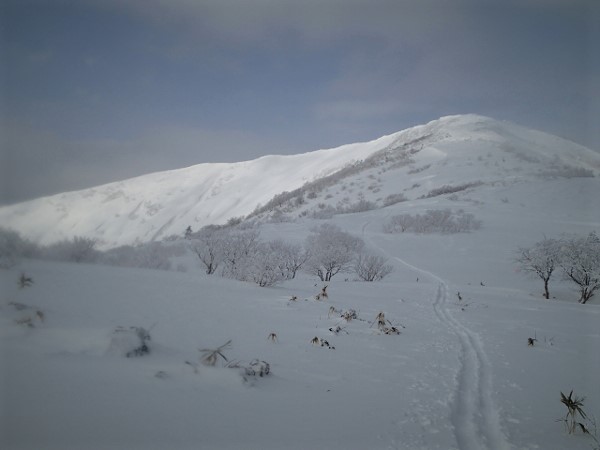 網張スキー場－スキー（大松倉山付近まで）
