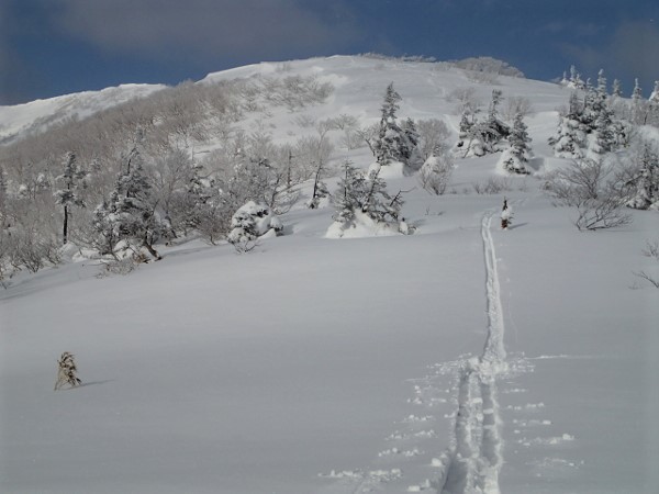 網張スキー場－スキー（大松倉山付近まで）