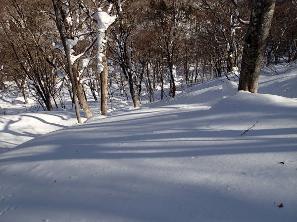 栗駒山－山スキー(2019.1)