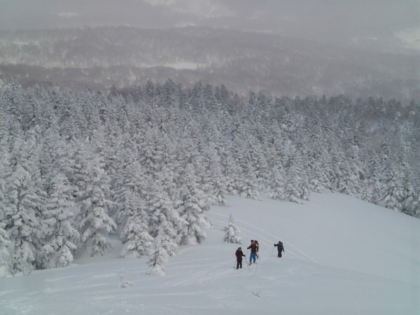 栂森－山スキー（2019.2）