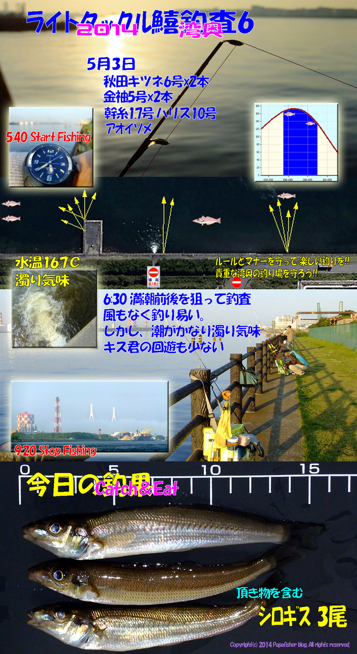 2014　ライトタックル鱚釣査6