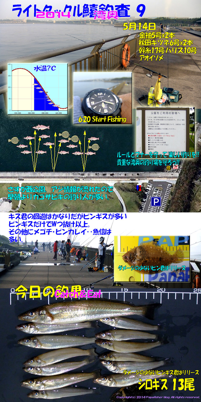 2014　ライトタックル鱚釣査9