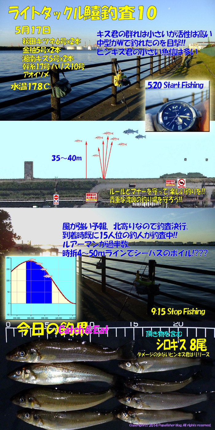 2014　ライトタックル鱚釣査10