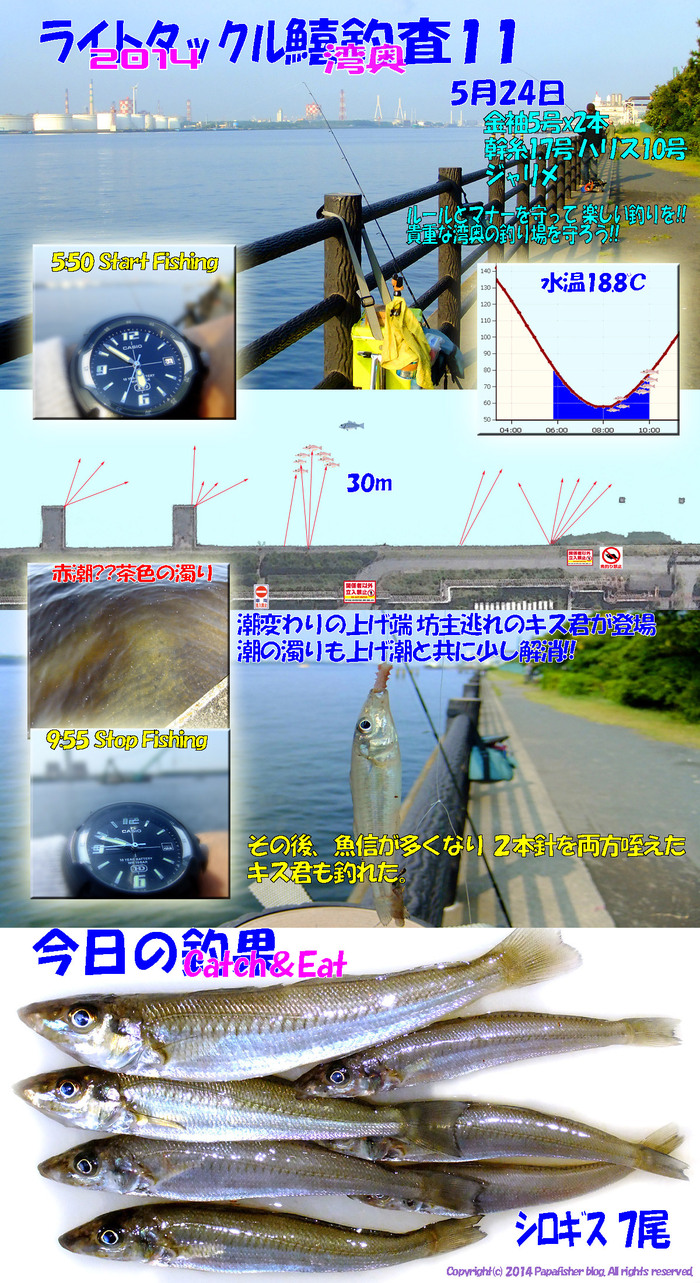 2014　ライトタックル鱚釣査11