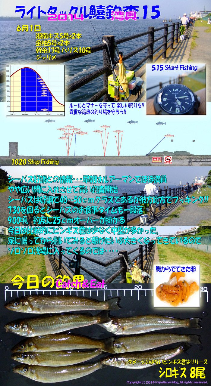 2014　ライトタックル鱚釣査15