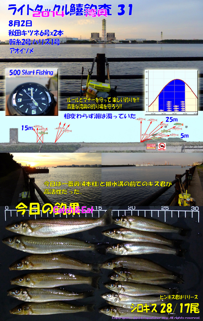 2014　ライトタックル鱚釣査31