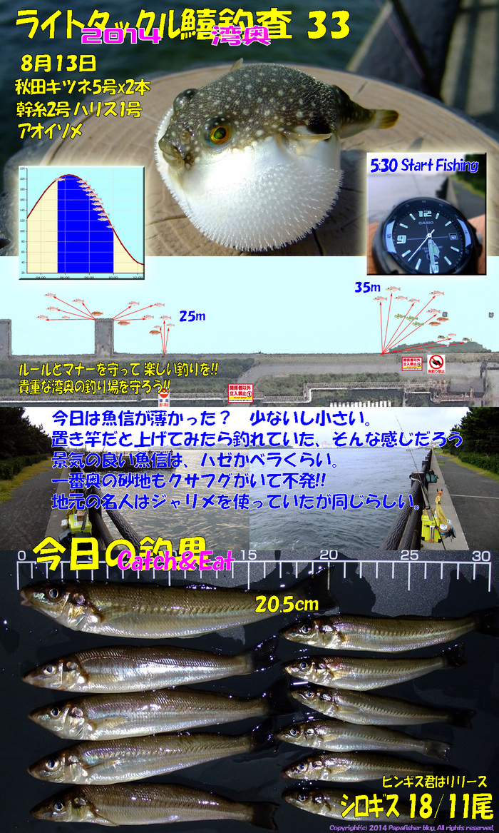 2014　ライトタックル鱚釣査33