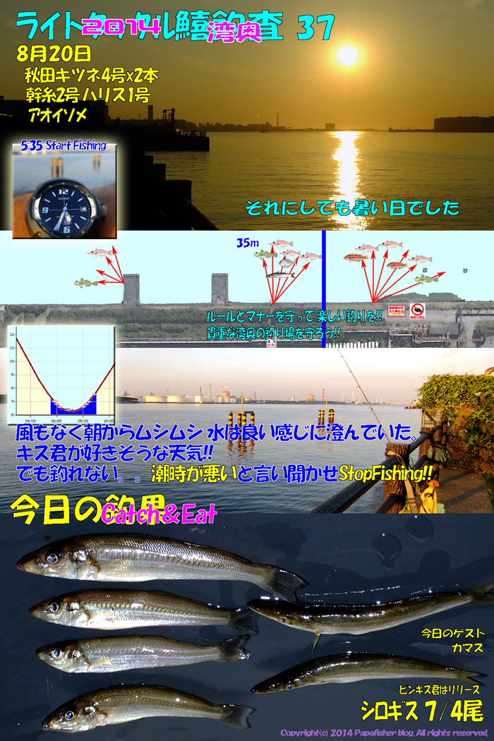 2014　ライトタックル鱚釣査37