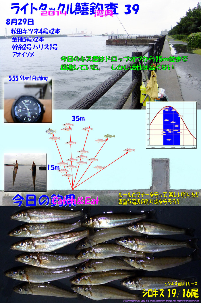 2014　ライトタックル鱚釣査39